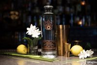 McQueen’s Violet Fog Gin: History, Tasting Notes & Cocktail Guide