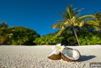 Raffles Expands Luxury Hotels Across Asia-Pacific