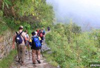 Machu Picchu Hiking Guide: Routes, Permits, and What to Expect