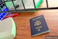 U.S. Airlines Push for More Customs and Border Patrol Agents