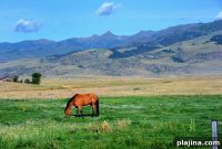 Escape to a Fall Ranch Retreat: Weekend Getaways & Activities