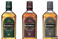 Bushmills Irish Whiskey: History, Tasting Notes & Distillery Guide
