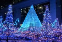 7 Unforgettable Holiday Light Shows to See This Season