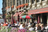 Blooming Brussels: Top Spots to See the City’s Spring Flowers