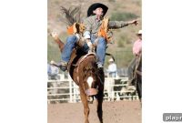 Top Rodeos to See in the United States: Dates, Locations & Tips