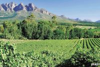South Africa: International Society of Africans in Wine Conference 2026
