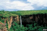 Pantanal: Seasons of Flood and Drought in Brazil’s Wetlands