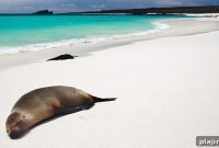 Galápagos Islands: Timeless Wilderness Adventure