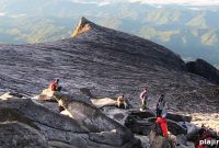 Borneo Wildlife Adventure: Exploring Pristine Rainforests and Wildlife