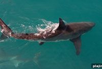 Durban Cautionary Tale: What Travelers Need to Know