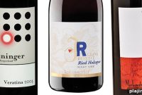 Austrian Blind Tasting: Comparing Top Red Wines from Austria