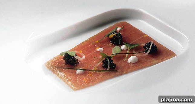 featured 1792