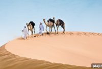 Abu Dhabi’s Desert Boom: How Sand-Fueled Growth Is Transforming the City