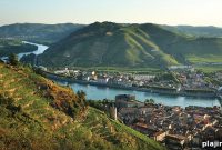 Hermitage Rouge from France’s Rhône Valley: Guide & Tasting Notes