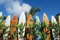 Surf Hawaii: Where to Catch the Best Waves and Top Breaks