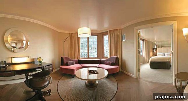 featured 20896