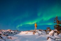 Northern Exposure: A Guide to Exploring Arctic Towns and Wildlife