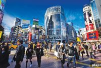 Transcendent Tokyo: Ultimate Guide to Tokyo’s Spiritual & Cultural Gems