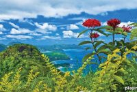 Discover Seychelles: Your Ultimate Guide to Island Paradise