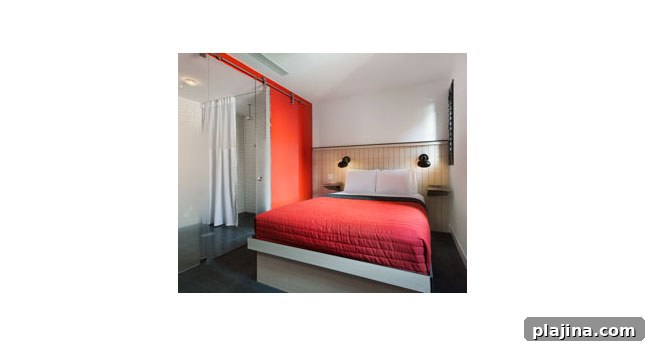 featured 24497