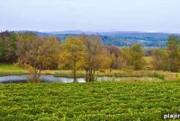 Québec Two-for-the-Road: Ultimate Guide to a Romantic Quebec Getaway