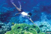 Fiji: Discover the Pearls of the Pacific Islands