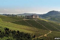 Beni di Batasiolo: Discover Piedmont Wines from Italy