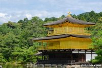 Spend a Day in Tokyo or Kyoto with Scholar-Led Walking Tours