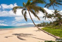 Andaz Maui Resort Opens This Summer — What to Expect and When