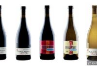 Sokol Blosser Winery: Oregon Wine Tours & Tastings Guide
