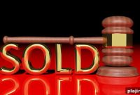 Silent Auction Highlights and Winning Bids from 2013