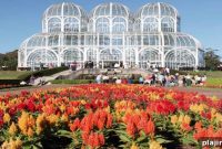 How Curitiba’s Innovative Solutions Are Solving Urban Problems