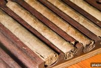 Nicaragua’s Cigar Industry Booms: What’s Driving Its Rapid Growth