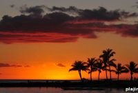Joie de Vivre to Open Second Hawaii Hotel: New Luxury Stay in Honolulu