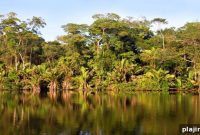 Learn Costa Rican Cooking: Authentic Cooking Classes in Costa Rica