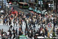Taming Tokyo’s Tiger: Insider Guide to City Secrets