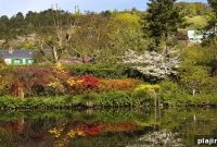 Discover Normandy’s Impressionist Heritage: Museums, Trails & Art Events