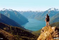 Hiking Trails in New Zealand: Top Routes and Tips for Explorers