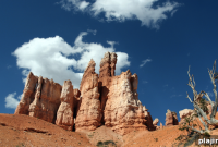 Volunteer Vacation Ideas: National Park Service Trips and How to Join