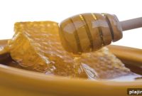 Bees Bring Buzz to ONYX Bangkok Hotels: What to Know Before You Go