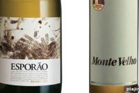 Herdade do Esporão Winery — Visiting Alentejo, Portugal Guide