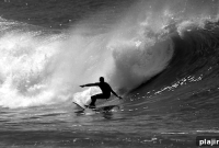 Surf Rodeo Returns to Ventura County: Surfing Competition & Events