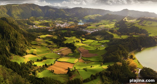 featured 31897