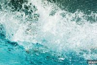 Slovenia Underwater Hockey Guide: Teams, Events & How to Watch