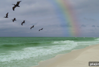 Discover the New Luxury Gem on Florida’s Emerald Coast