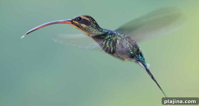 featured 35711