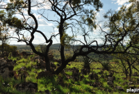 Golf on the Wild Banks: South Africa’s Hennops River Experience