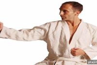 Brazilian Jiu-Jitsu: Techniques, History, and Training Guide