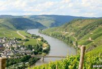 Riesling Wines of Germany’s Mosel and Rheingau Regions