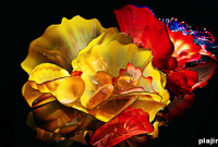 Chihuly Glass Exhibition Draws Record Crowds to Desert Botanical Garden